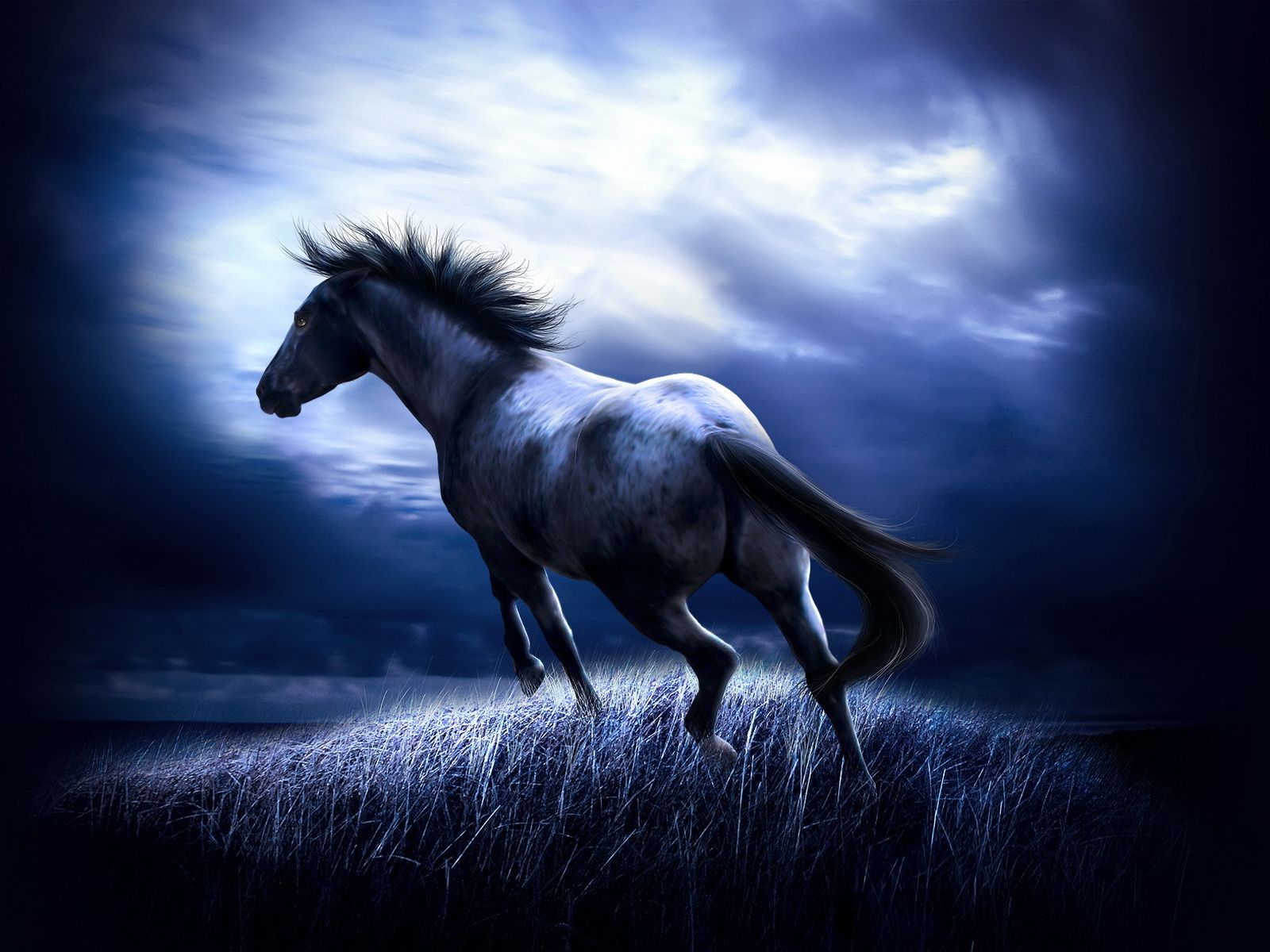 Dark Horse262667991 - Dark Horse - horse, Dark, Chameleon